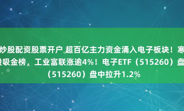 炒股配资股票开户 超百亿主力资金涌入电子板块！寒武纪登顶A股吸金榜，工业富联涨逾4%！电子ETF（515260）盘中拉升1.2%